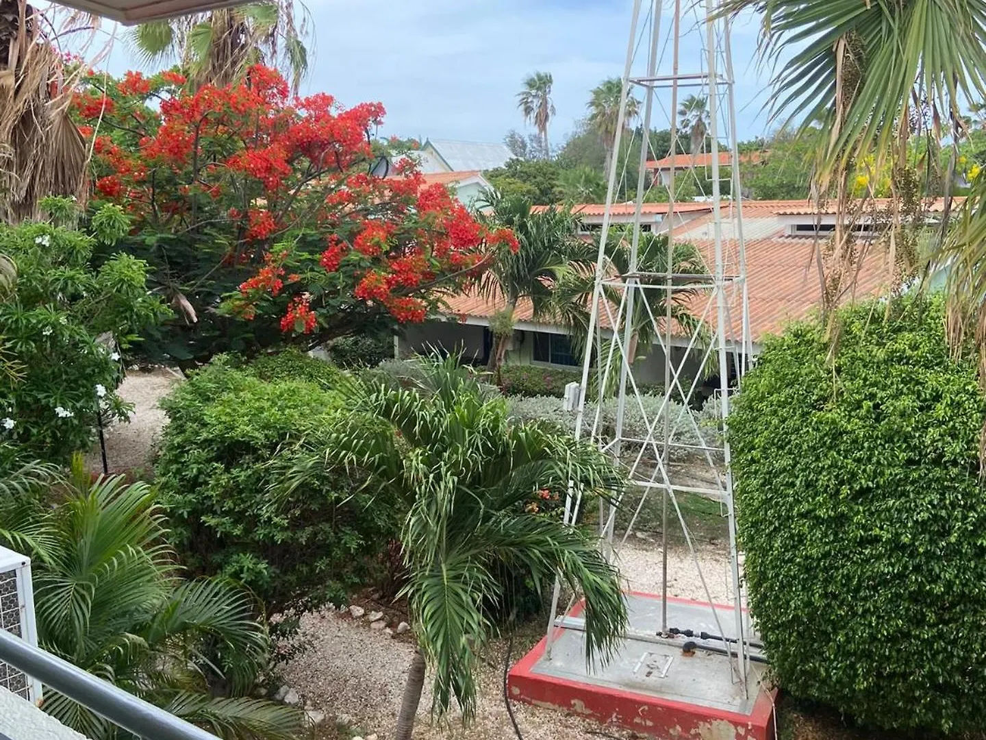 Biba Bo Sonjo Appartement Willemstad